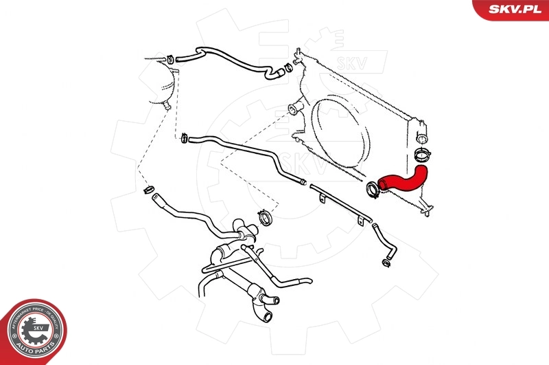 Radiator Hose